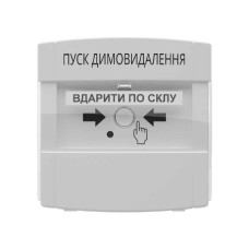 Адресна кнопка керування автоматикою DETECTO BTN 100